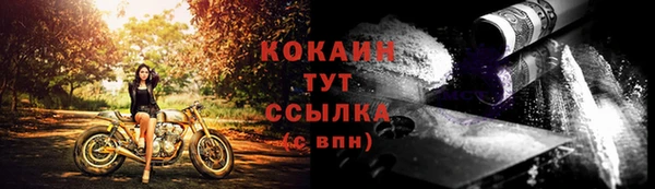 СК Володарск