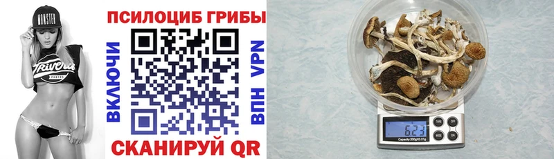 Псилоцибиновые грибы мухоморы  как найти закладки  Всеволожск 